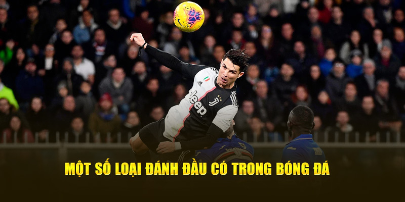 Một số loại đánh đầu có trong bóng đá